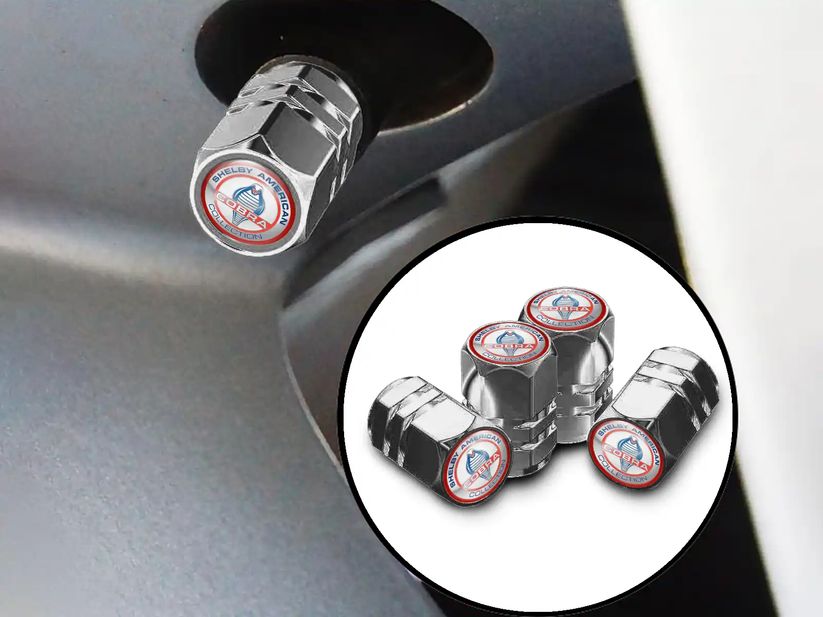 Shelby Protections Valve Vélos Acier Inoxydable